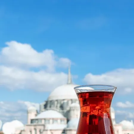 Hotel Danis & - Old 4*