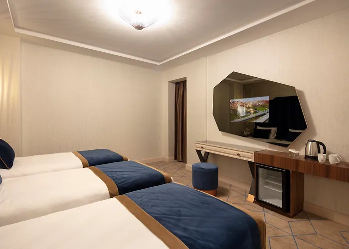 Danis & - Old Hotel Istanboel